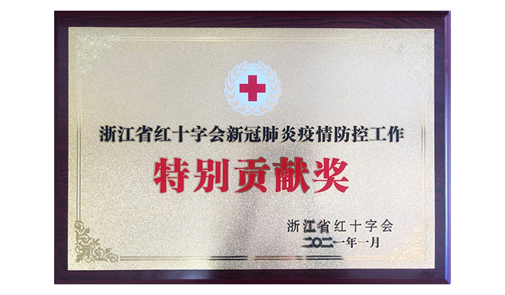 浙江省红十字会授予乐玩“新冠疫情防控出格贡献奖”
