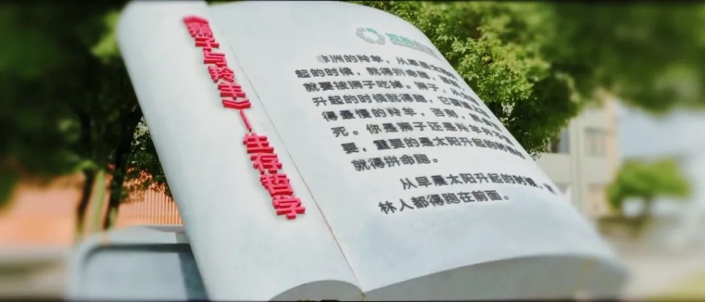 lewin乐玩-(中国)有限公司官方网站